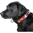Show in main carousel: Littlearth NFL Premium Dog & Cat Collar, Kansas City Chiefs, Medium slide 2 of 4