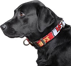 Littlearth NFL Premium Dog & Cat Collar, Kansas City Chiefs, Small slide 2 of 3