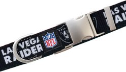 Littlearth NFL Premium Dog & Cat Collar, Las Vegas Raiders, Large