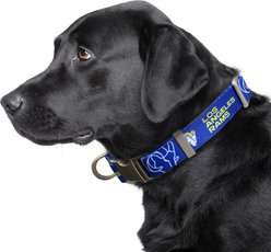 Littlearth NFL Premium Dog & Cat Collar, Los Angeles Rams, Medium slide 2 of 3