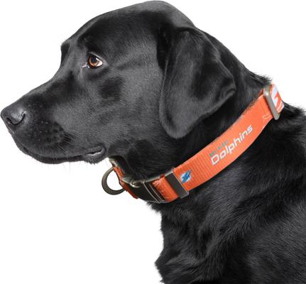 Show full view: Littlearth NFL Premium Dog & Cat Collar, Miami Dolphins, Large slide 2 of 4
