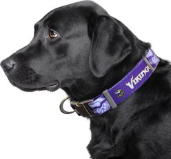 Littlearth NFL Premium Dog & Cat Collar, Minnesota Vikings, Medium slide 2 of 3