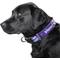 Show in main carousel: Littlearth NFL Premium Dog & Cat Collar, Minnesota Vikings, Medium slide 2 of 4