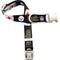 Show in main carousel: Littlearth NFL Premium Dog & Cat Collar, Pittsburgh Steelers, Large slide 1 of 4