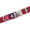 Show in main carousel: Littlearth NFL Premium Dog & Cat Collar, San Francisco 49ers, Large slide 1 of 4