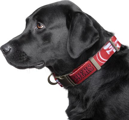 Show full view: Littlearth NFL Premium Dog & Cat Collar, San Francisco 49ers, Large slide 2 of 4
