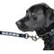 Show in main carousel: Littlearth NFL Premium Dog & Cat Lead, Chicago Bears, 3/4-in slide 3 of 5