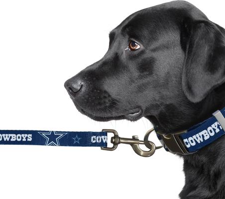 Show full view: Littlearth NFL Premium Dog & Cat Lead, Dallas Cowboys, 3/4-in slide 4 of 6