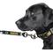 Show in main carousel: Littlearth NFL Premium Dog & Cat Lead, Green Bay Packers, 3/4-in slide 3 of 5