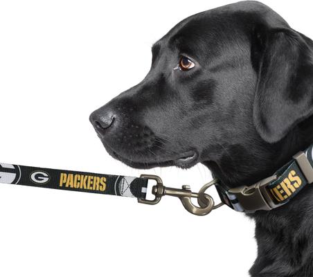 Show full view: Littlearth NFL Premium Dog & Cat Lead, Green Bay Packers, 3/4-in slide 3 of 5