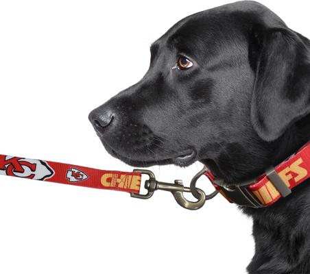 Show full view: Littlearth NFL Premium Dog & Cat Lead, Kansas City Chiefs, 3/4-in slide 3 of 5
