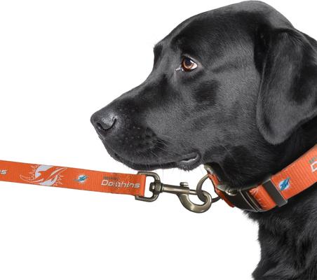 Show full view: Littlearth NFL Premium Dog & Cat Lead, Miami Dolphins, 3/4-in slide 3 of 5