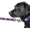 Show in main carousel: Littlearth NFL Premium Dog & Cat Lead, Minnesota Vikings, 1-in slide 4 of 6