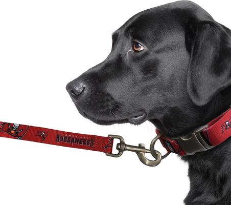 Show full view: Littlearth NFL Premium Dog & Cat Lead, Tampa Bay Buccaneers, 1-in slide 4 of 6