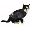 Show in main carousel: Littlearth NFL Stretch Dog & Cat Jersey, Atlanta Falcons, X-Large slide 5 of 8