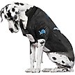 Show in main carousel: Littlearth NFL Stretch Dog & Cat Jersey, Detroit Lions, Big Dog slide 3 of 6