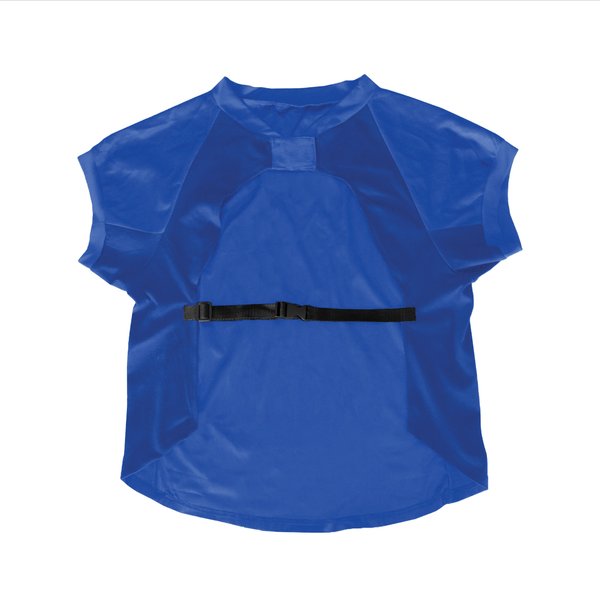 Show full view: Littlearth NFL Stretch Dog & Cat Jersey, Indianapolis Colts, Big Dog slide 2 of 5