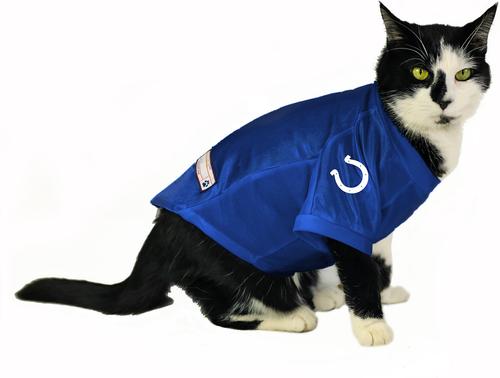 Show full view: Littlearth NFL Stretch Dog & Cat Jersey, Indianapolis Colts, Medium slide 6 of 9