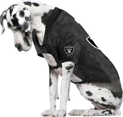 Show full view: Littlearth NFL Stretch Dog & Cat Jersey, Las Vegas Raiders, Big Dog slide 3 of 6