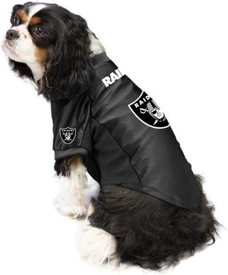 Show full view: Littlearth NFL Stretch Dog & Cat Jersey, Las Vegas Raiders, X-Small slide 3 of 8