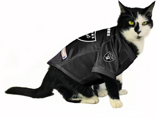 Show full view: Littlearth NFL Stretch Dog & Cat Jersey, Las Vegas Raiders, X-Small slide 5 of 8