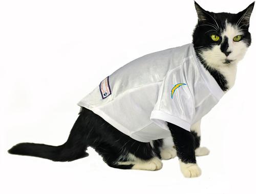 Show full view: Littlearth NFL Stretch Dog & Cat Jersey, Los Angeles Chargers, Medium slide 5 of 8