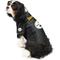 Show in main carousel: Littlearth NFL Stretch Dog & Cat Jersey, Pittsburgh Steelers, X-Small slide 3 of 8