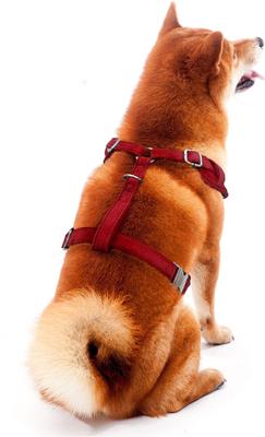 Show full view: Littlearth NFL Velvet Dog Harness, Arizona Cardinals, X-Small slide 3 of 7