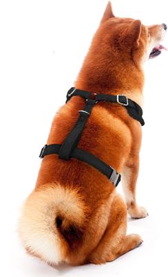 Show full view: Littlearth NFL Velvet Dog Harness, Cincinnati Bengals, Large slide 4 of 8