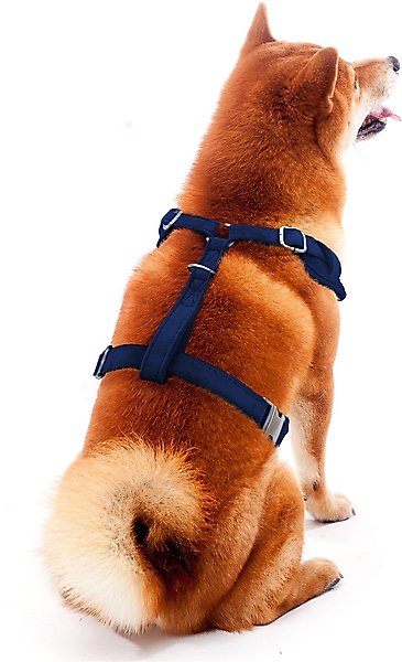 Littlearth NFL Velvet Dog Harness