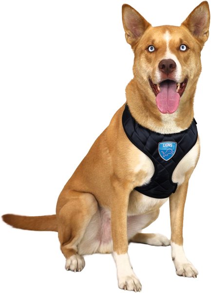 Show full view: Littlearth NFL Velvet Dog Harness, Detroit Lions, X-Small slide 2 of 7