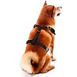 Show in main carousel: Littlearth NFL Velvet Dog Harness, Detroit Lions, X-Small slide 3 of 7