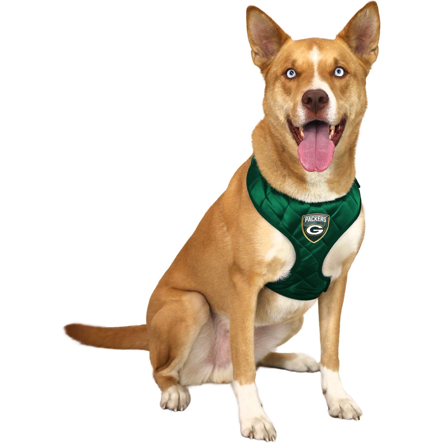 Littlearth NFL Velvet Dog Harness, Green Bay Packers, Medium