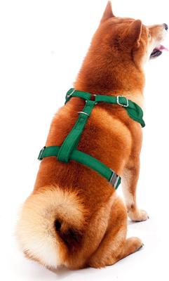 Show full view: Littlearth NFL Velvet Dog Harness, Green Bay Packers, Small slide 5 of 8