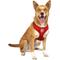 Show in main carousel: Littlearth NFL Velvet Dog Harness, Kansas City Chiefs, Medium slide 2 of 7