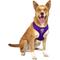 Show in main carousel: Littlearth NFL Velvet Dog Harness, Minnesota Vikings, X-Large slide 2 of 7