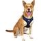 Show in main carousel: Littlearth NFL Velvet Dog Harness, New England Patriots, Medium slide 2 of 7