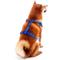 Show in main carousel: Littlearth NFL Velvet Dog Harness, New York Giants, Medium slide 4 of 8