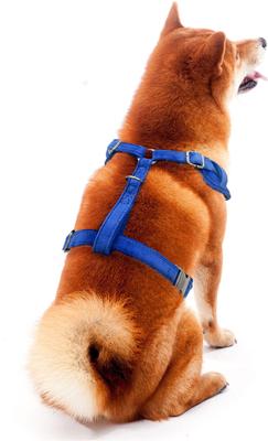 Show full view: Littlearth NFL Velvet Dog Harness, New York Giants, Medium slide 4 of 8