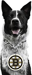 Littlearth NHL Fan Chain for Dogs & Cats, Boston Bruins slide 2 of 3