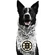 Show in main carousel: Littlearth NHL Fan Chain for Dogs & Cats, Boston Bruins slide 2 of 3