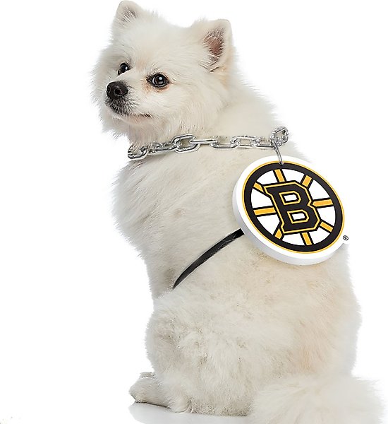 Show full view: Littlearth NHL Fan Chain for Dogs & Cats, Boston Bruins slide 3 of 3