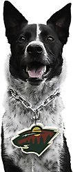 Littlearth NHL Fan Chain for Dogs & Cats, Minnesota Wild slide 2 of 3