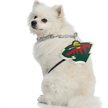 Show in main carousel: Littlearth NHL Fan Chain for Dogs & Cats, Minnesota Wild slide 3 of 3