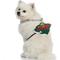 Show in main carousel: Littlearth NHL Fan Chain for Dogs & Cats, Minnesota Wild slide 4 of 4