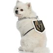 Show in main carousel: Littlearth NHL Fan Chain for Dogs & Cats, Vegas Golden Knights slide 3 of 4