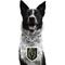 Show in main carousel: Littlearth NHL Fan Chain for Dogs & Cats, Vegas Golden Knights slide 2 of 4