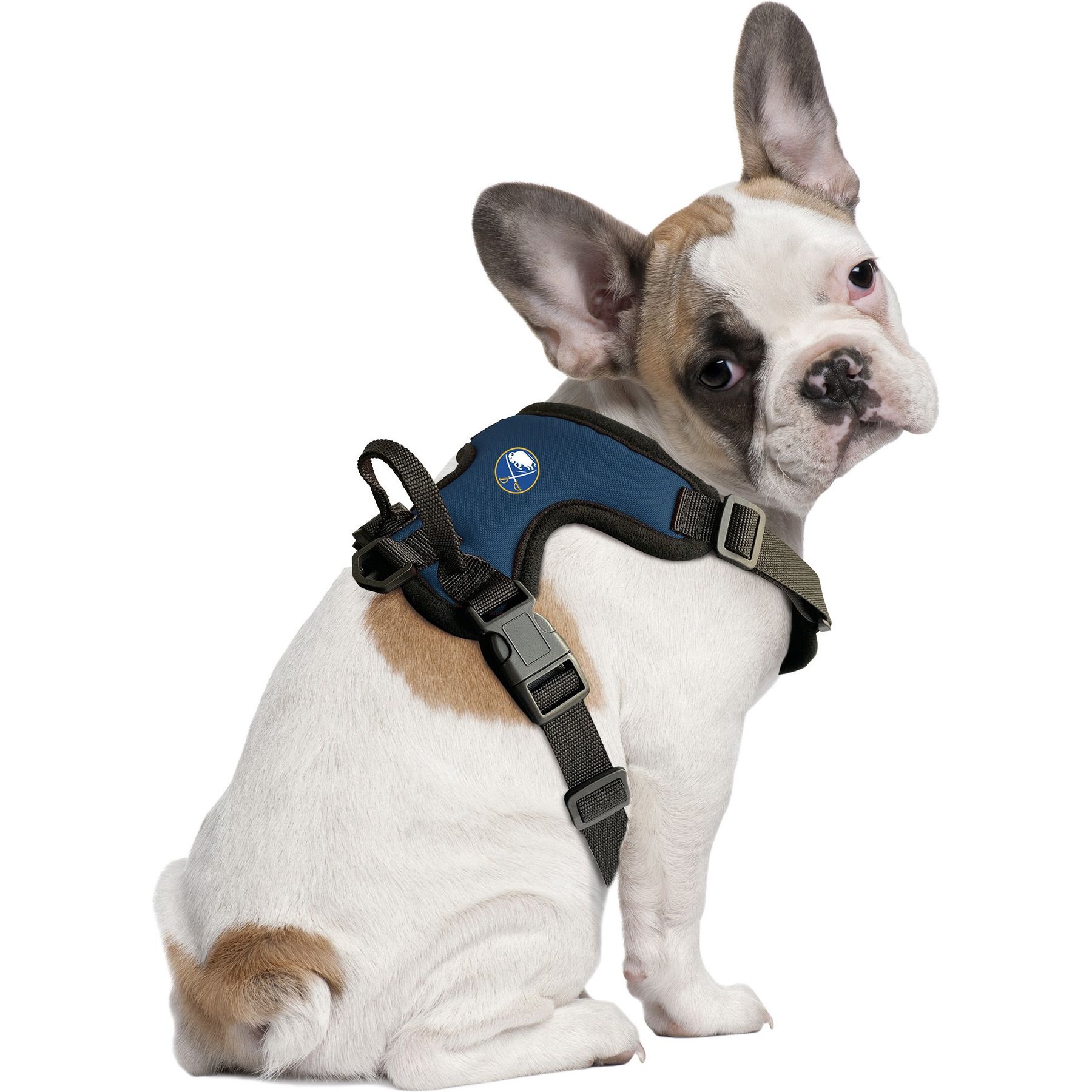 Littlearth NHL Front Clip Dog Harness, Buffalo Sabres, X-Small