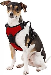 Littlearth NHL Front Clip Dog Harness, Florida Panthers, Large slide 2 of 5