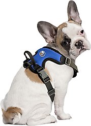 Littlearth NHL Front Clip Dog Harness, New York Islanders, X-Small
